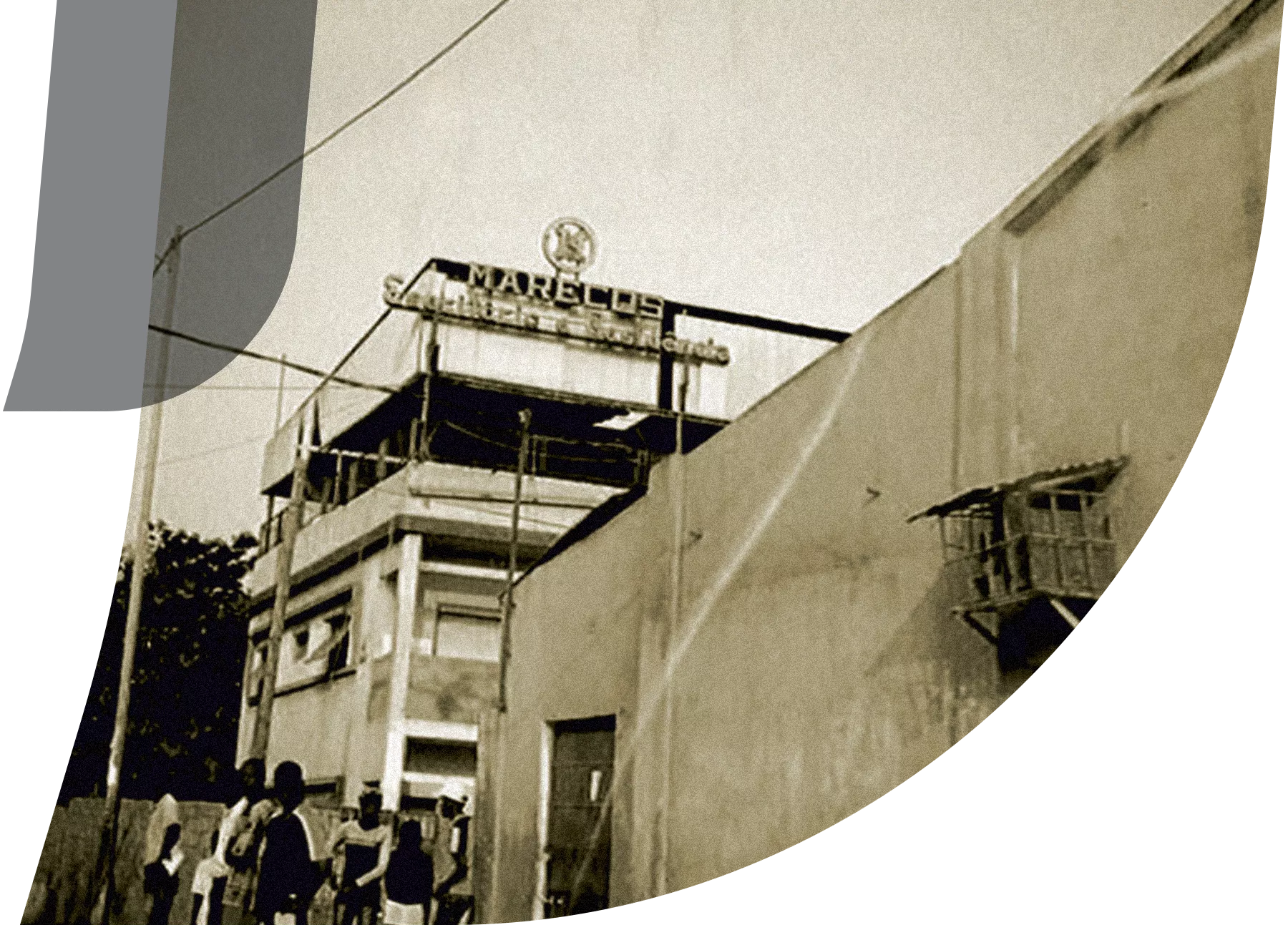 olitrem-marecos
