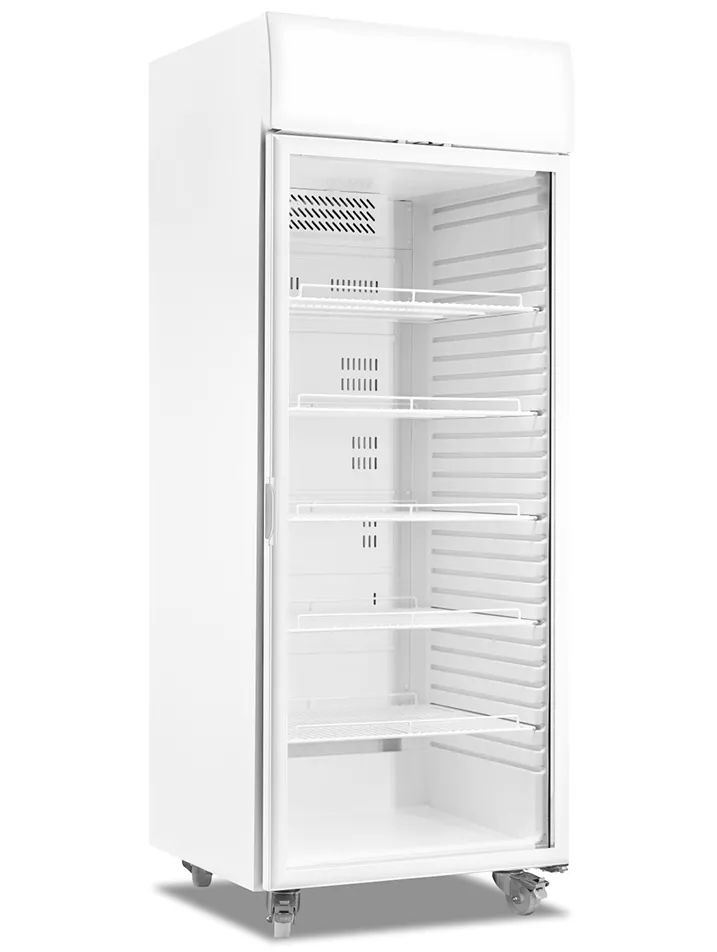 produto-Bebidas-ATG-600-CC-PV-galeria-01