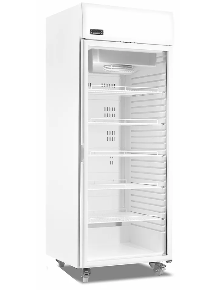 produto-Bebidas-ATG-600-CC-SF-PV-galeria-01