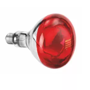 produto-Aquecedor-Alimentos-IWL250D-galeria-06