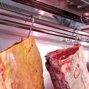 produto-Armarios-carne-maturada-galeria-01