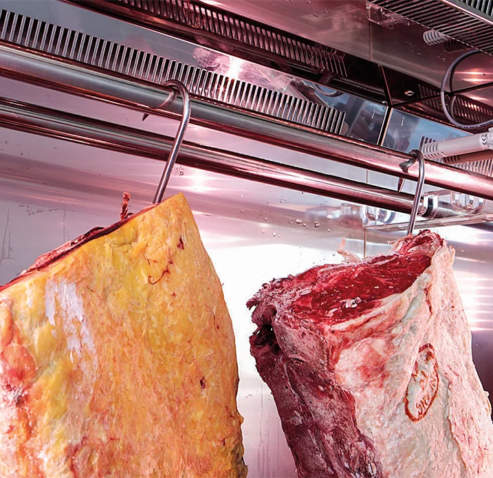 produto-Armarios-carne-maturada-galeria-01