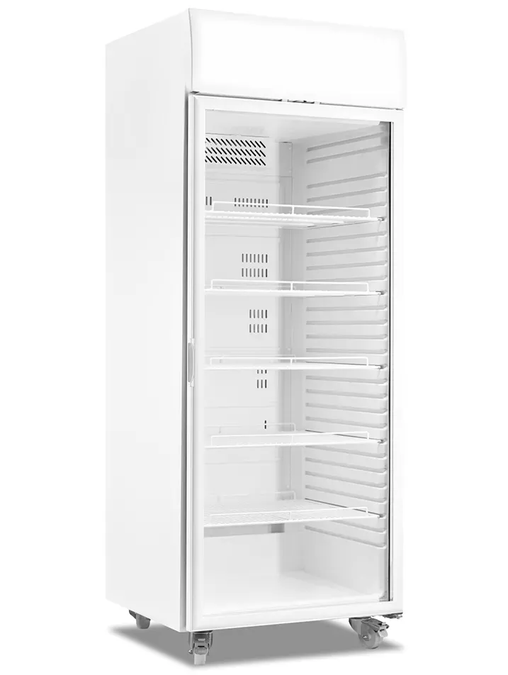 produto-Bebidas-ATG-600-CC-PV-galeria-01